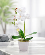 Restaurantware Faux Fiore White Orchid - White Pot - Faux Plants - 13.4'''' - 1Ct Box
