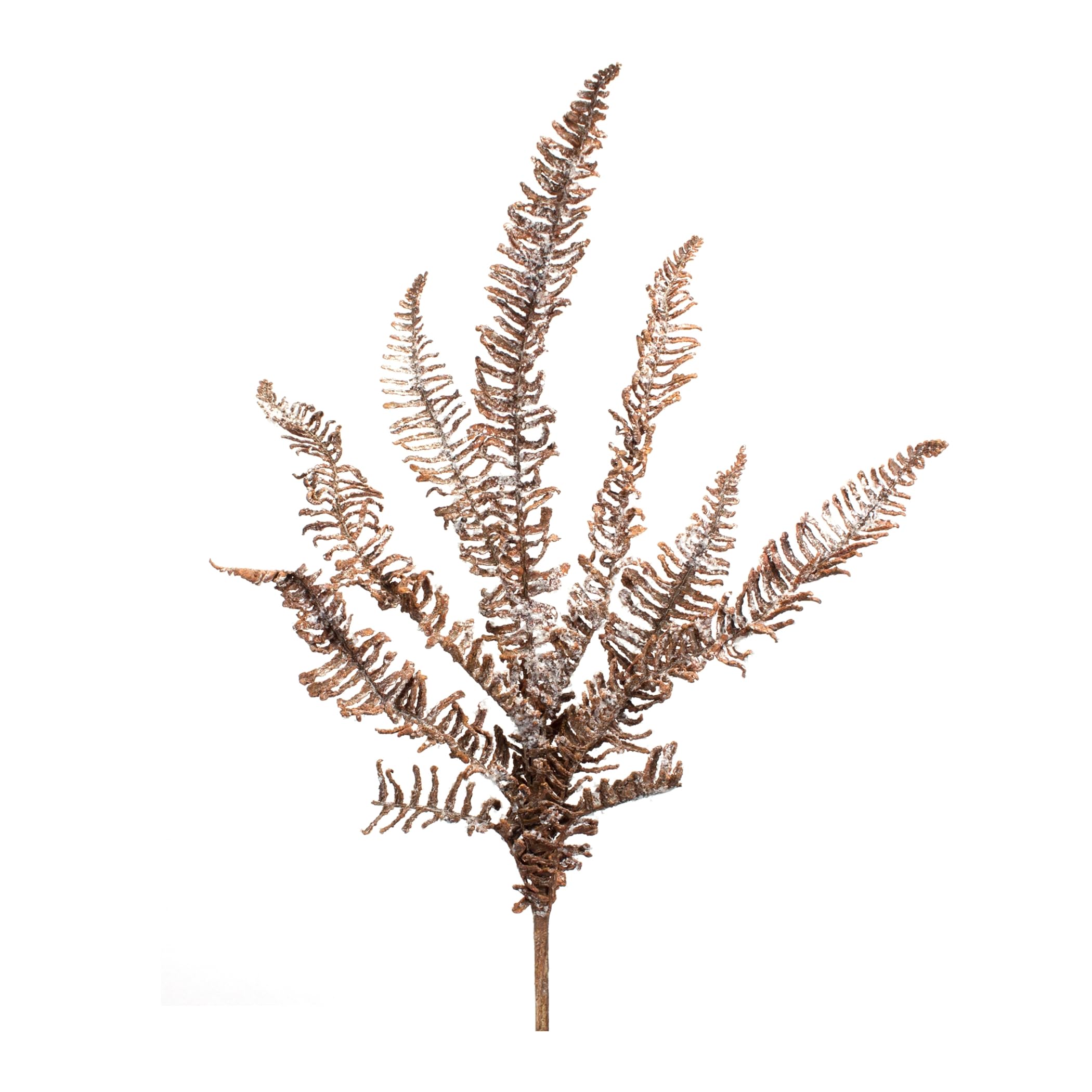 Icy Fern Spray (Set Of 6)