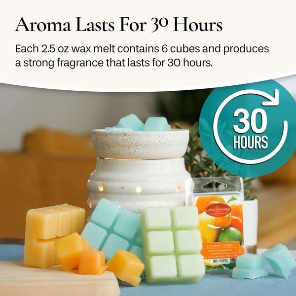 Candle Warmers Etc Classic Wax Melts 2.5Oz, Lavender Vanilla Fragrance (4-Pack) - Each Pack Has X4 2.5 Oz Wax Melts And 30 Hours