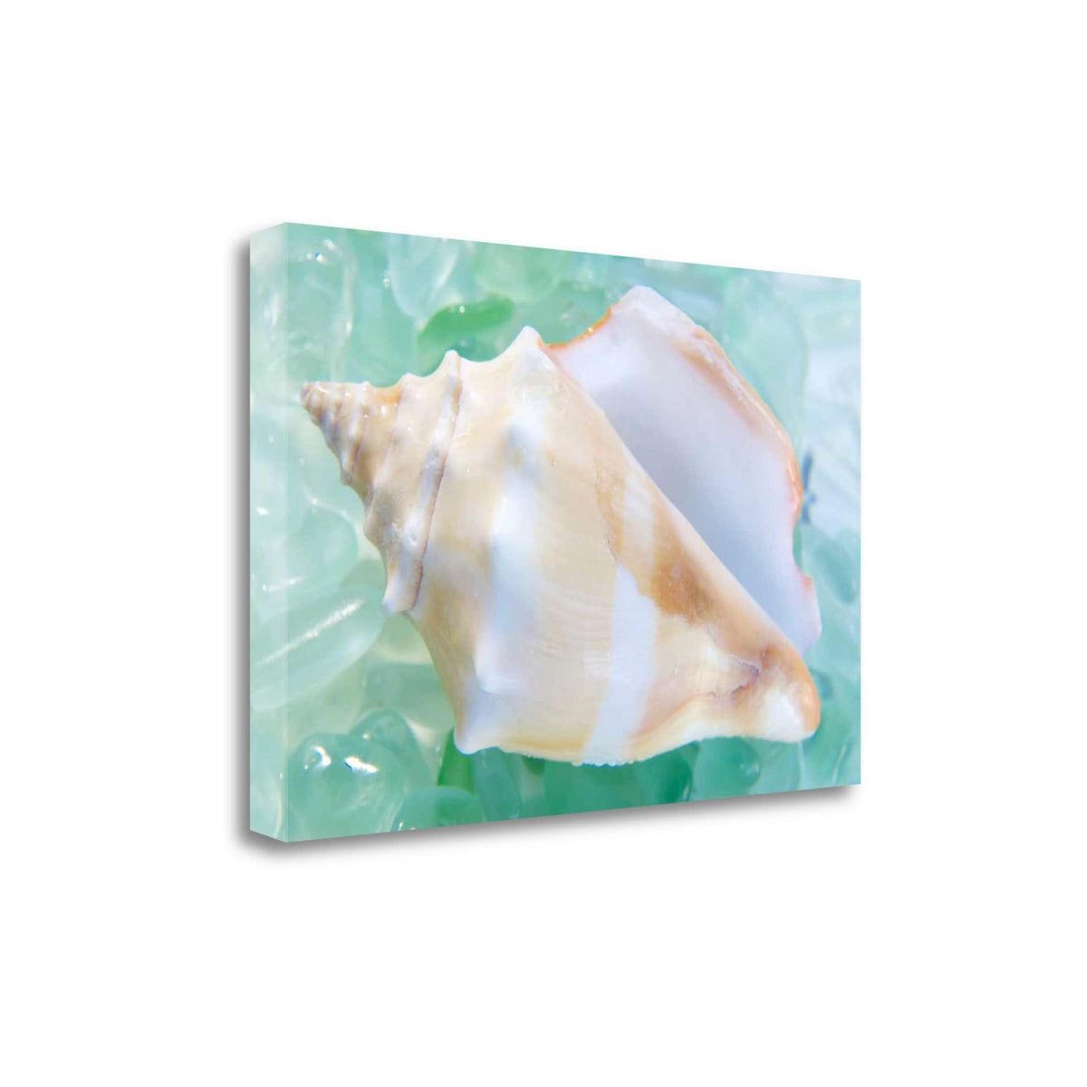 28' Seashell and Seaglass Giclee Wrap Canvas Wall Art