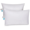 East Coast Bedding Cozy Dream Firm Pillow, Queen Pillow Medium Support Hotel Pillow, Queen Size 20X30 Inch Goose Feather Down Pi
