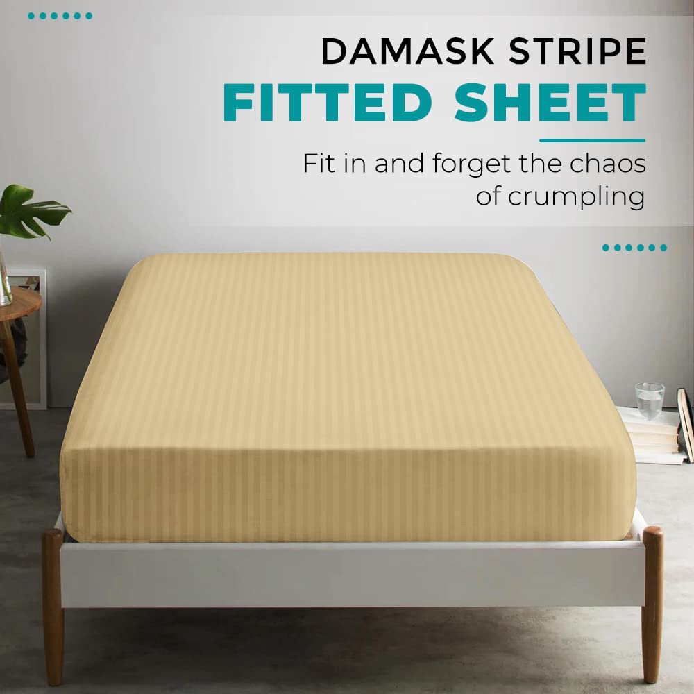 Feather & Stitch 100% Cotton 1 Piece Damask Stripe Twin Fitted Sheet 500 Thread Count Semolina 18' Extra Deep Pocket Luxury Sateen Weave Stretchable Boxer Elastic Fits Mattress Perfectly