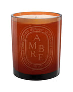 Diptyque Ambre Scented Candle, 10.2 Ounce (187856)