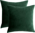 Rainroad Dark Green Throw Pillows Covers Set Of 2 Soft Velvet Decorative Pillow Covers 20X20 Inch For Couch Bed (Dark Green, 20'