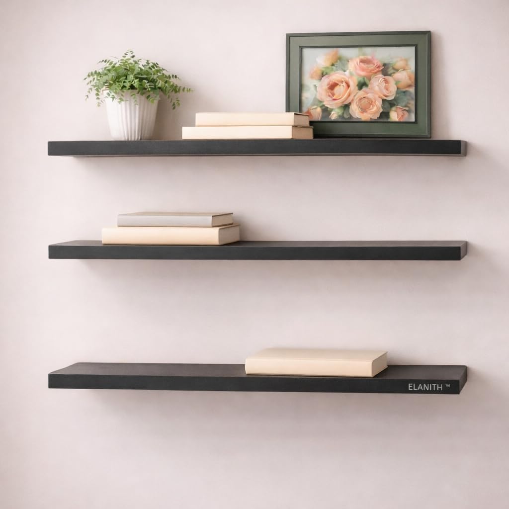 ELANITH Modern Floating Wall Shelf Set, Black Mete, 16 Inches Length, 5.78 Inches Depth, Contemporary Home Decor, Display Shelve
