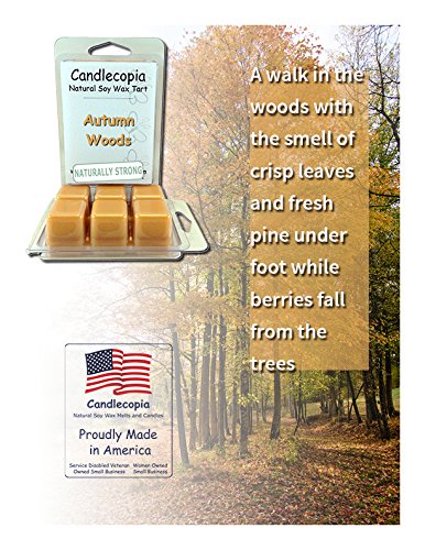 Candlecopia Autumn Woods Strongly Scented Hand Poured Vegan Wax Melts, 12 Scented Wax Cubes, 6.4 Ounces In 2 X 6-Packs