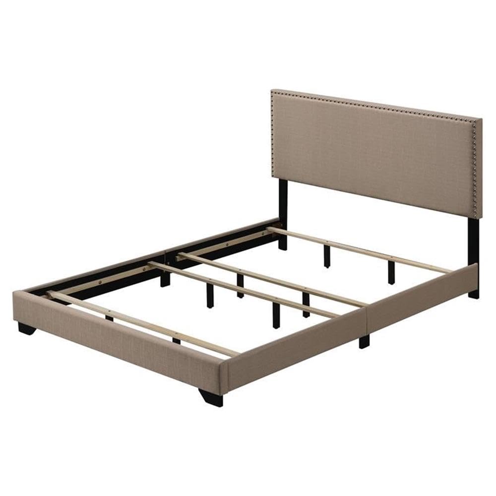 Acme Leandros Fabric Upholstered Queen Panel Bed with Nailhead Trim in Beige