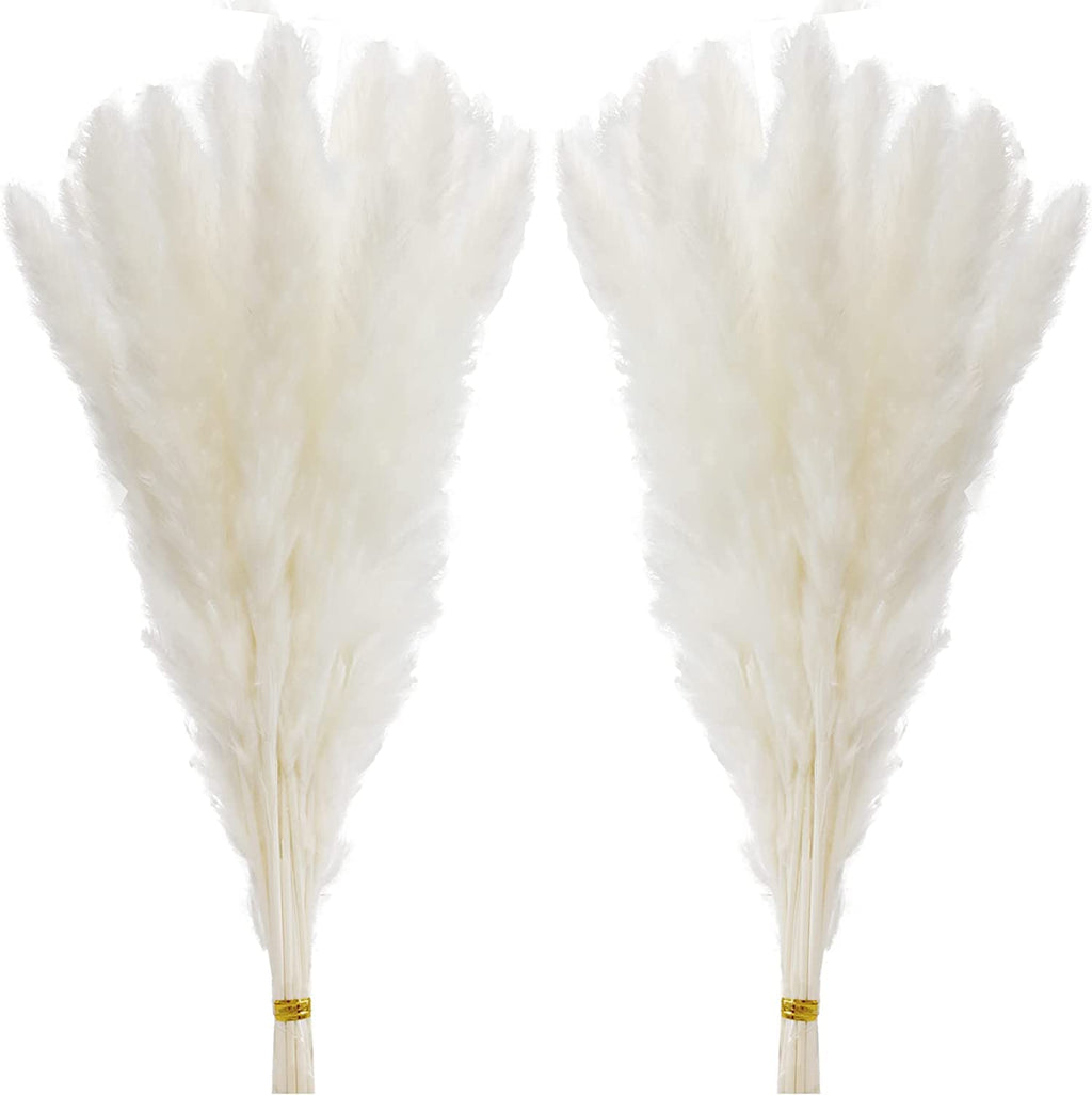60 Pcs White Pampas Grass ,17 inch/45 cm Natural Dried Pampas Grass Branches Decor for Home Kitchen Garden Party Photographing F