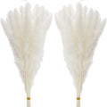 60 Pcs White Pampas Grass ,17 inch/45 cm Natural Dried Pampas Grass Branches Decor for Home Kitchen Garden Party Photographing F