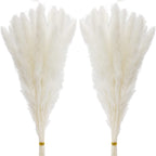 60 Pcs White Pampas Grass ,17 inch/45 cm Natural Dried Pampas Grass Branches Decor for Home Kitchen Garden Party Photographing F
