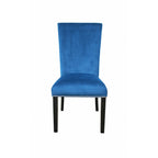Steve Silver Camila Dining Chairs, Set of 2 Side Chairs, Upscale Styled Blue Velvet Material, Nailhead Trim, Modern Twist, Syurdy Solid Wood Legs, 20" L x 28" W x 41" H, Blue
