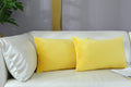 Mixeoo Comfy Lemon Yellow Throw Pillow Covers Decorative Lumbar Solid Rectangle Thick Velvet Super Soft Cushion Cases Home Decor