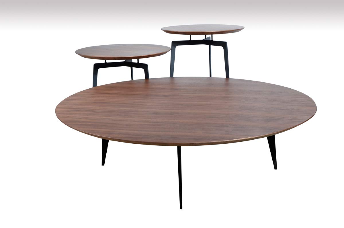 HomeRoots Modern Walnut Coffee Table Set