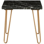 Acme Telestis 22" Square Marble Top End Table in Black and Gold