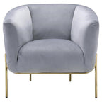 Acme Carlson Velvet Upholstered Barrel Backrest Accent Chair in Beige and Gold