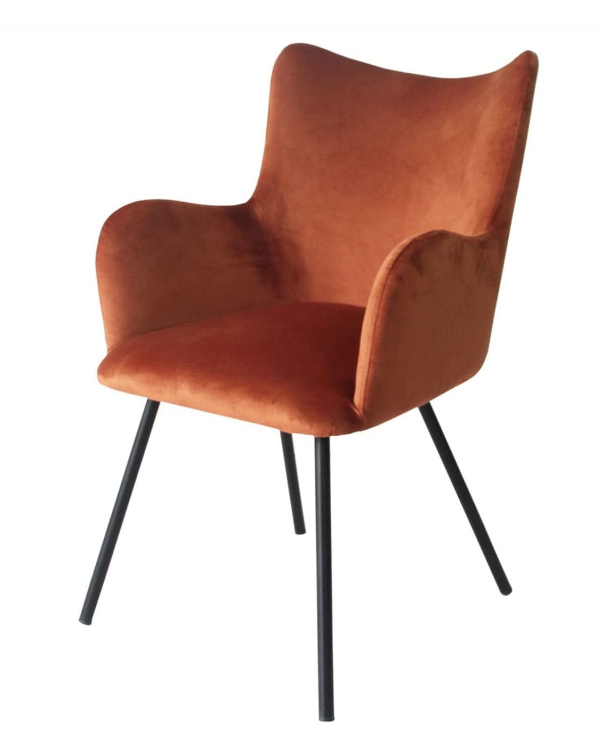 HomeRoots Velvet, Metal Rust Orange Curvy Velvet and Black Modern Dining Chair