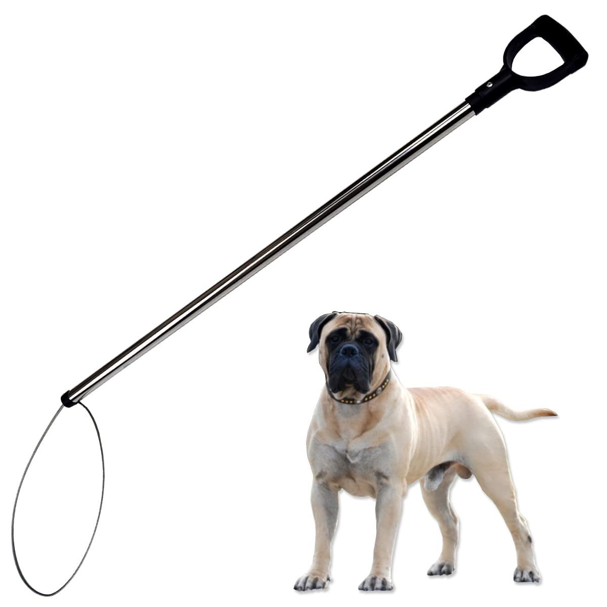 Yorikyas Animal Catch Pole Control Tool Kit For Hog Dog Pig Fox -44 Inch