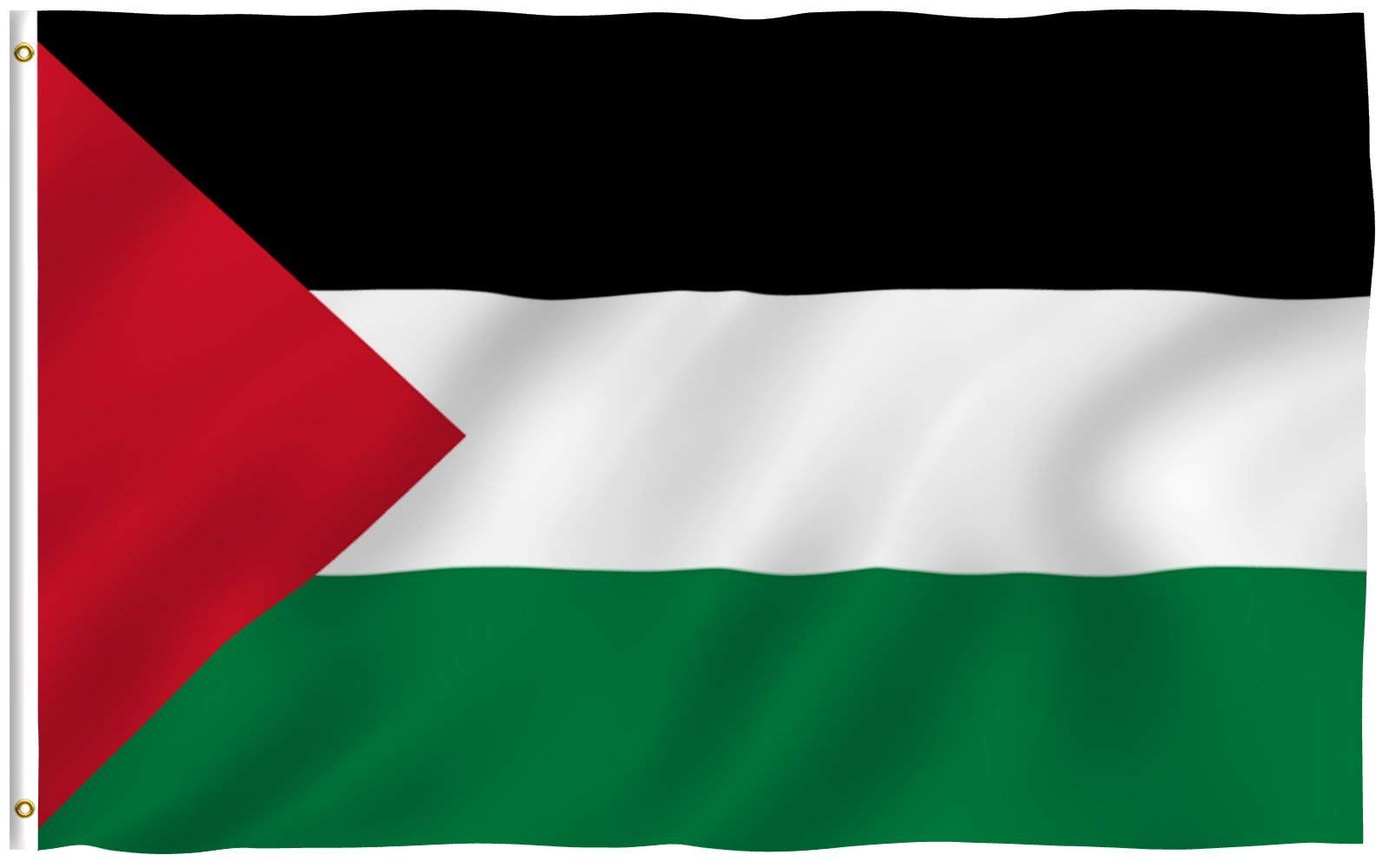 Anley Fly Breeze 3X5 Foot Palestine Flag - Vivid Color And Fade Proof - Canvas Header And Double Stitched -Palestinian Flags Pol