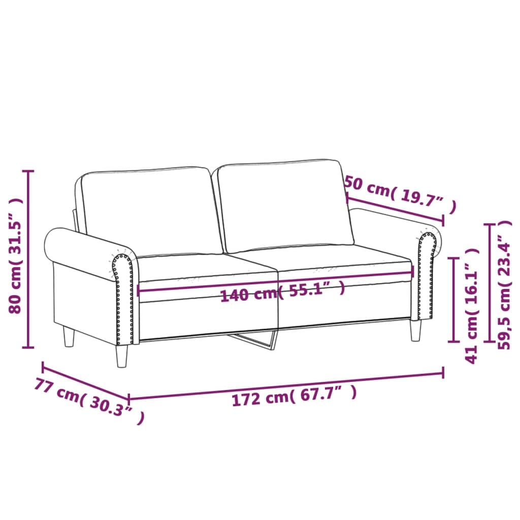 vidaXL 2-Seater Sofa, Dark Gray Velvet - Modern Design Couch with Thick Padded Seats and Armrests for Living Room or Lounge Area