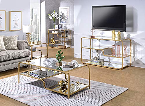 HomeRoots Metal, Glass 52" X 24" X 18" Gold and Clear Glass Metal Coffee Table