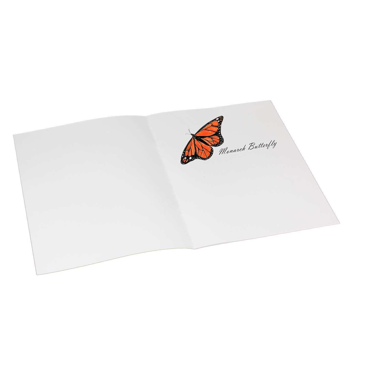 Softcover Thin Blank Book 7X8.5 Portrait, Class Pack 24