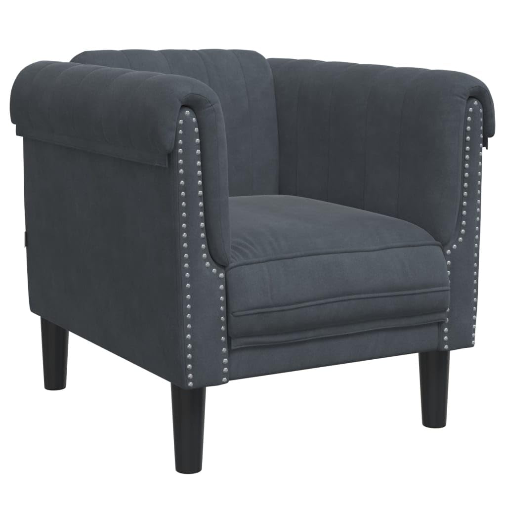 vidaXL - Dark Gray Velvet Upholstered Armchair - 1-Seater Sofa Chair - Modern Accent Chair for Living Room/Bedroom