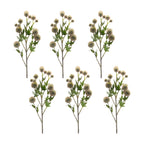 Allium Spray (Set Of 6)