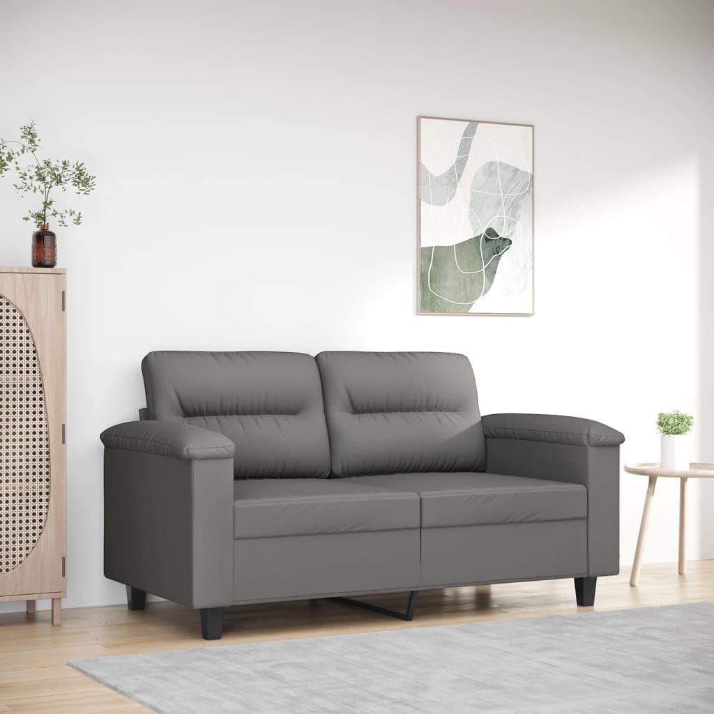 vidaXL Dark Gray 2-Seater Sofa with 100% Polyester Microfiber Upholstery, Modern Design for Living Room or Lounge, Foam-Padded Seats for Comfort - Assembly Required'