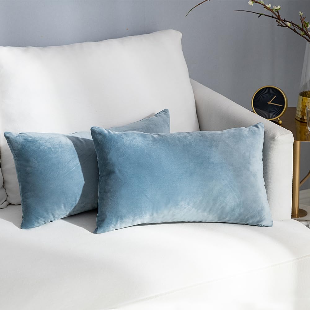 Mzpso Pack Of 2, Velvet Super Soft Solid Decorative Square Throw Pillow Covers Set Cushion Case For Sofa Bedroom Car 12 X 20 Inc