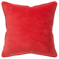 Connie Post 20" x 20" Down Filled Pillow with Cotton Velvet Cover-Dark Coral