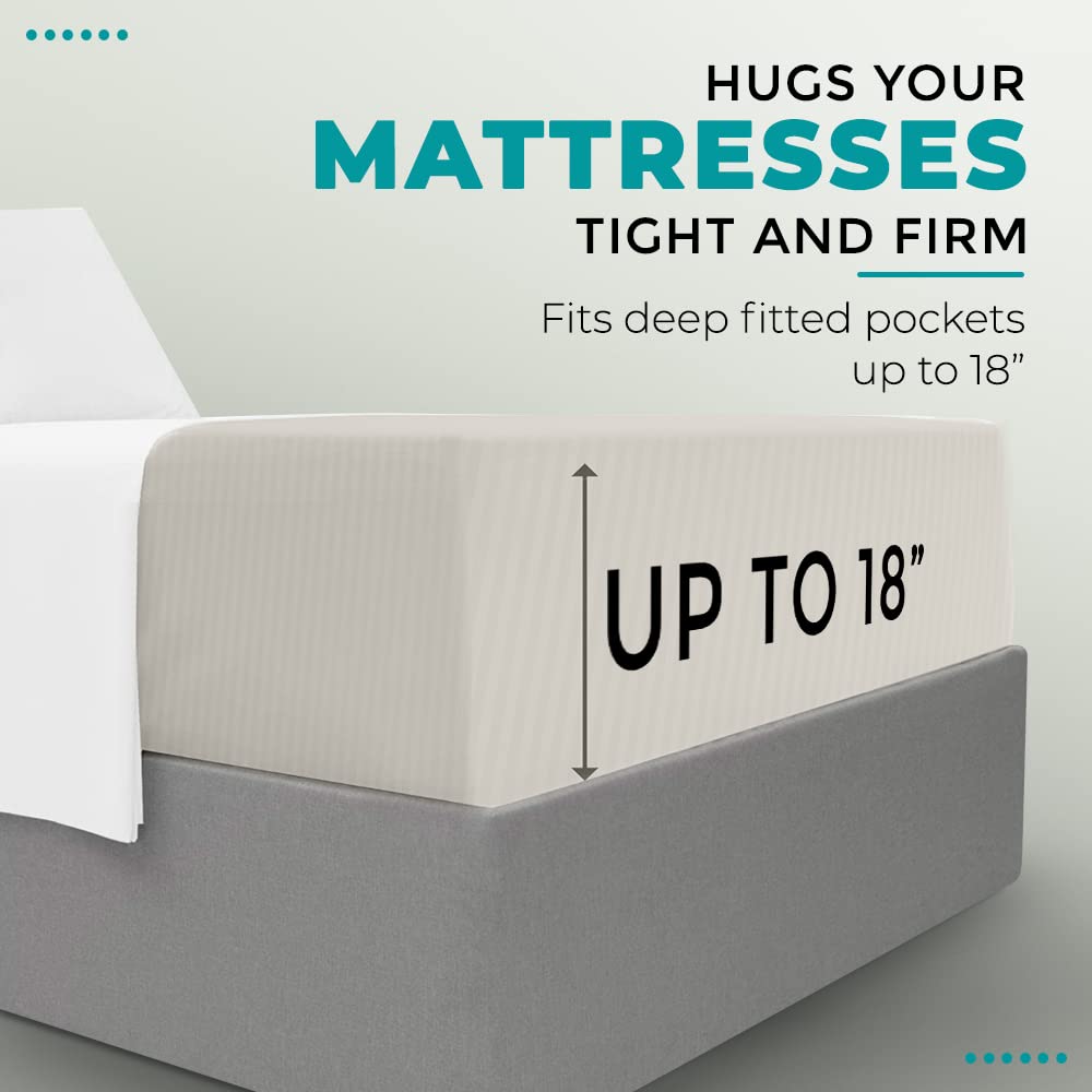 Feather & Stitch 100% Cotton 1 Piece Damask Stripe Full Fitted Sheet 500 Thread Count Beige 18 Inch Extra Deep Pocket Luxury Sateen Weave Stretchable Boxer Elastic Fits Mattress Perfectly