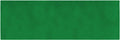 House, Home And More Outdoor Turf Rug - Green - 10 Feet X 30 Feet