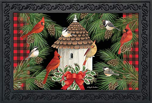 Briarwood Lane Holiday Bird Gathering Doormat Welcome Indoor/Outdoor 30' X 18'