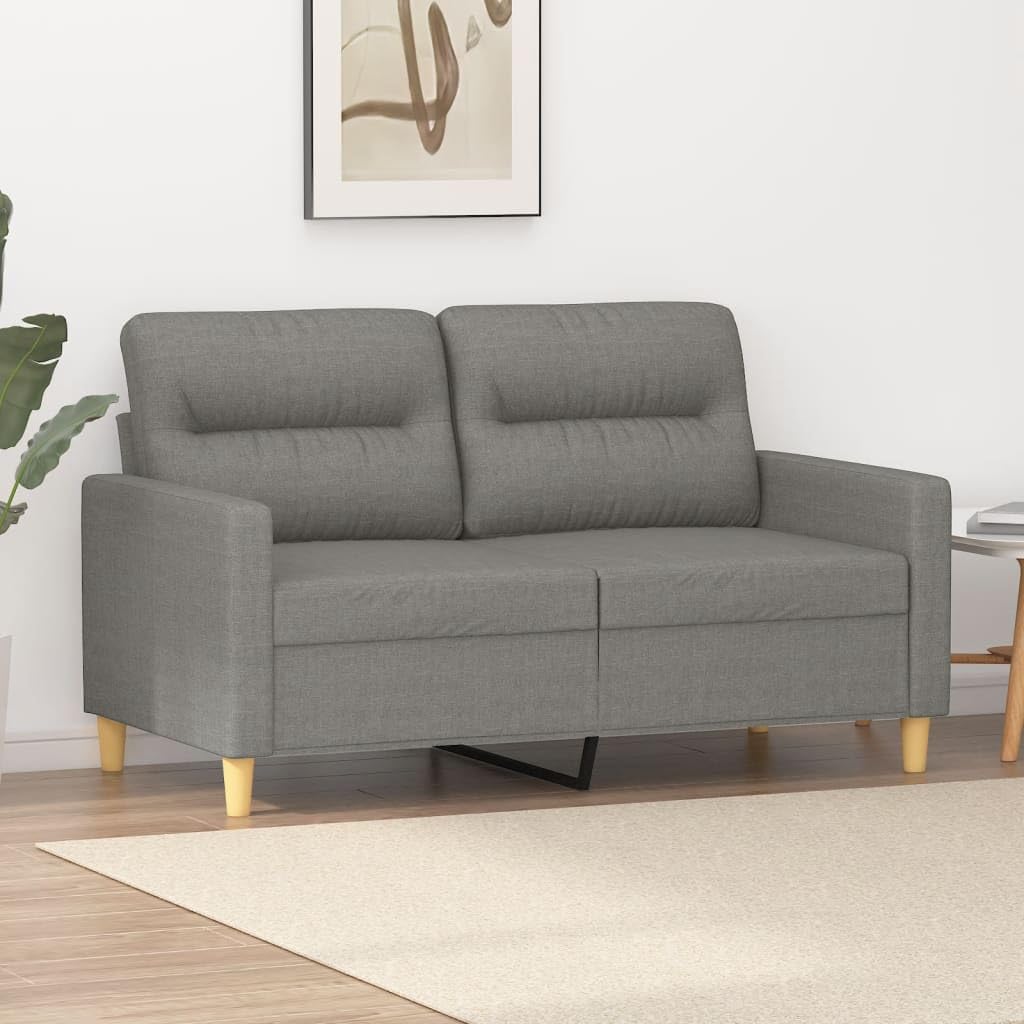 vidaXL Modern 2-Seater Sofa in Dark Gray Fabric - Spacious and Comfortable Seating with Durable Upholstery and Sturdy Plywood and Metal Frame - Ideal for Living Room, Reading Nook or Home Office