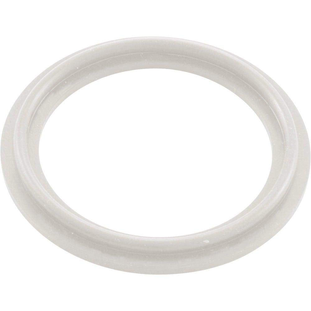 Waterway Plastics 806105124593 2' Heater O-Ring/Gasket