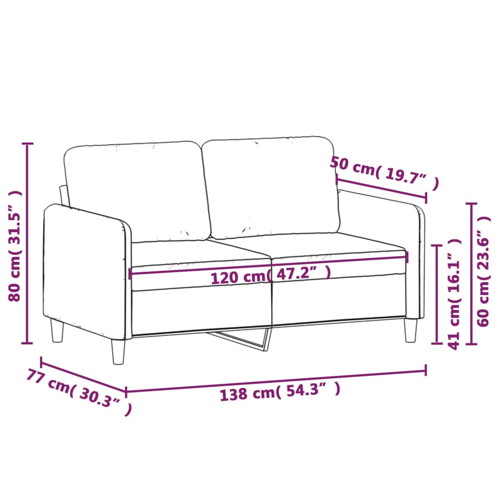 vidaXL Velvet Loveseat - Light Gray 2-Seater Couch, Luxurious Comfort Seating for Living Room/Office, Metal Frame