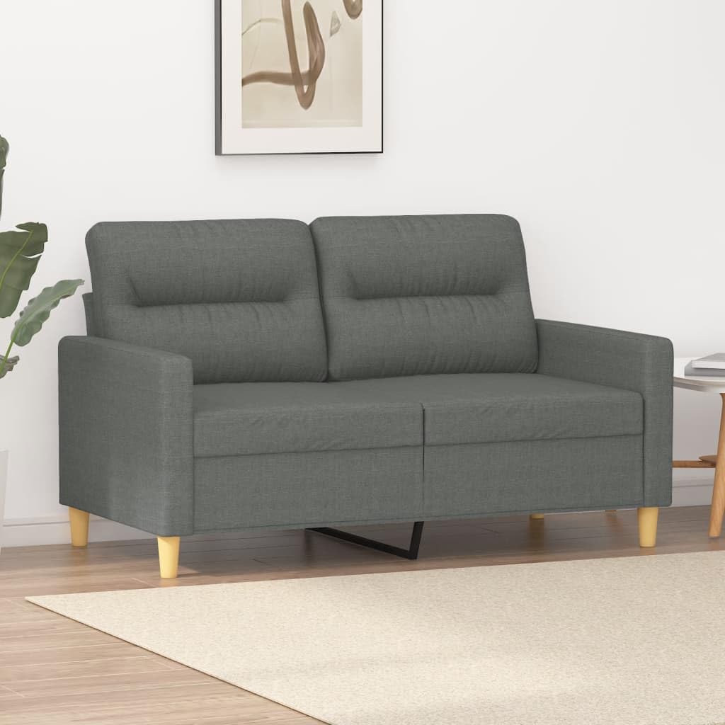 vidaXL Dark Gray 2-Seater Sofa - Comfortable Padded Seats and Back Cushions - Metal Frame - Modern Living Room Furniture - 100% Polyester Fabric Upholstery