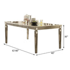 Acme Kacela Rectangular Wood Extendable Dining Table in Champagne and Mirrored