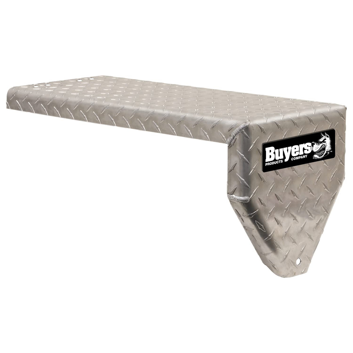 Buyers Products - 3023908 Chain Carrier Lid (For 5910024)