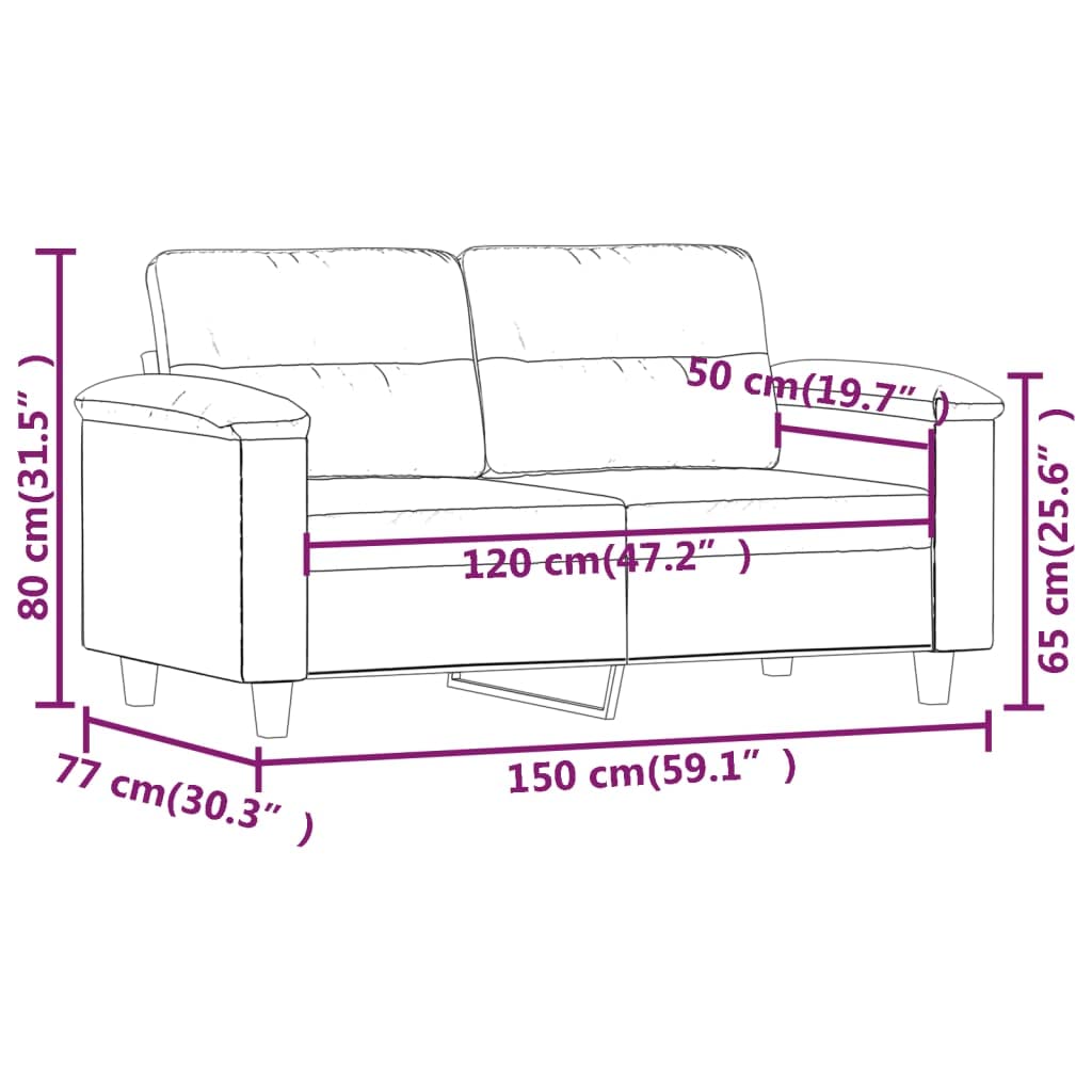 vidaXL Dark Gray 2-Seater Sofa with 100% Polyester Microfiber Upholstery, Modern Design for Living Room or Lounge, Foam-Padded Seats for Comfort - Assembly Required'