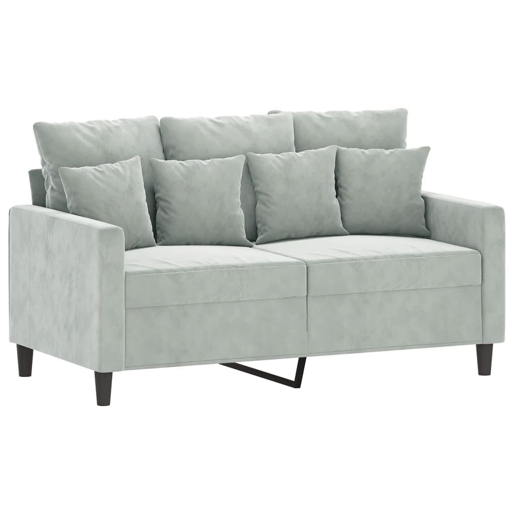 vidaXL Modern 2-Seater Sofa with Velvet Fabric, Comfort Seating, Heavy-Duty Metal Frame, Ideal for Living Room and Lounge Area – Light Gray, 359293