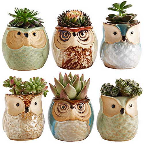 Sun-E Se Owl Pot Ceramic Flowing Glaze Base Serial Set Succulent Plant Pot Cactus Plant Pot Flower Pot Container Planter With Dr