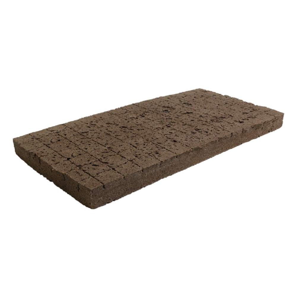 Daplug Sponge 98 Cell Break Aw