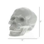 HomeRoots White Ceramic Skull Sculpture