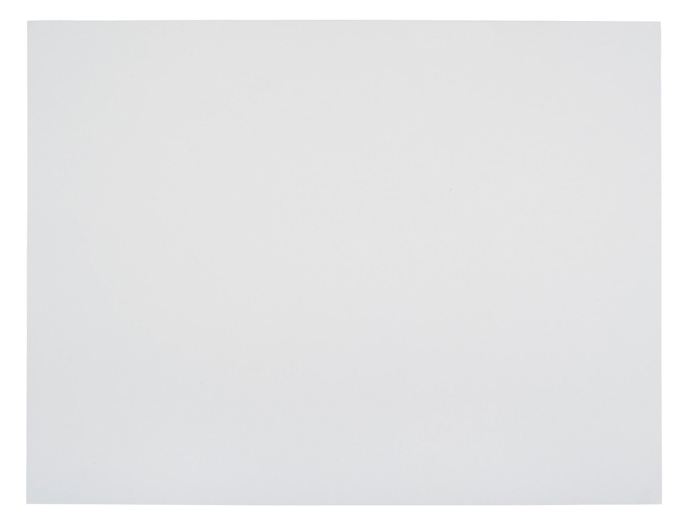 School Smart Railroad Board, 22 X 28 Inches, 4-Ply, White, Pack Of 100