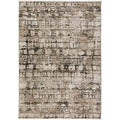 Denizi Dz3 Taupe Transitional Rug Rectangle 9' X 13 ' 2"