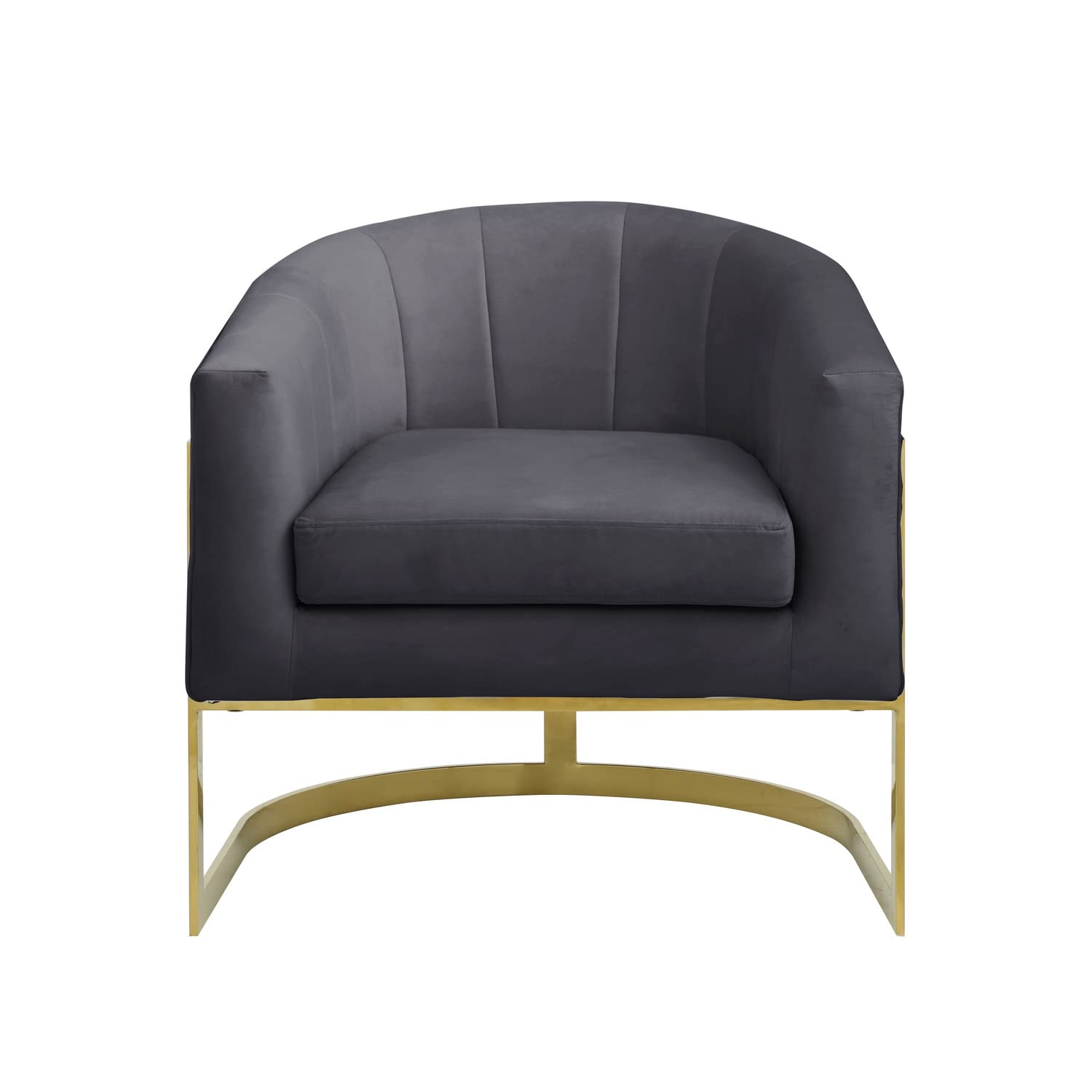 Best Master Furniture Traxmon Velvet Upholstered Accent Chair in Gray