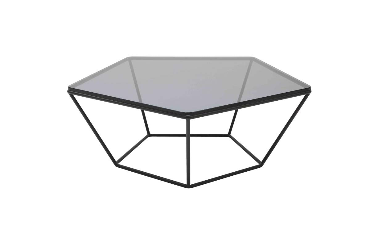 HomeRoots Modern Coffee Table