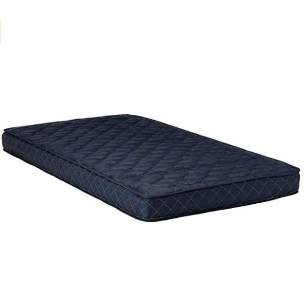 HomeRoots Beddings 6-Inch Foam Mattress Covered in a Stylish Waterproof Fabric, Twin