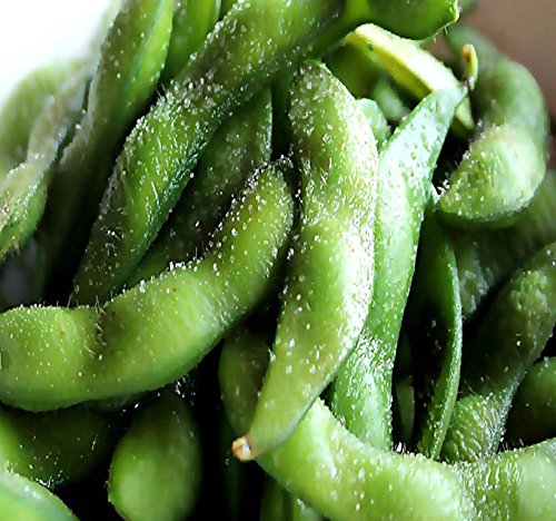 4 Oz (500) X Japanese Edamame Seeds ~ Soy Bean High In Protein - Young Soy Bean - 80-90 Days (0500 Seeds - 4 Oz)